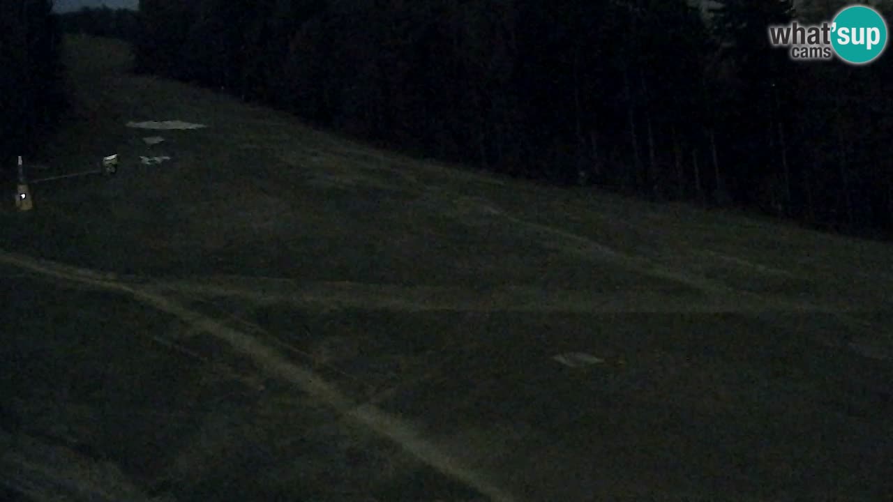 Webcam Pohorje Trikotna Jasa | Poštela