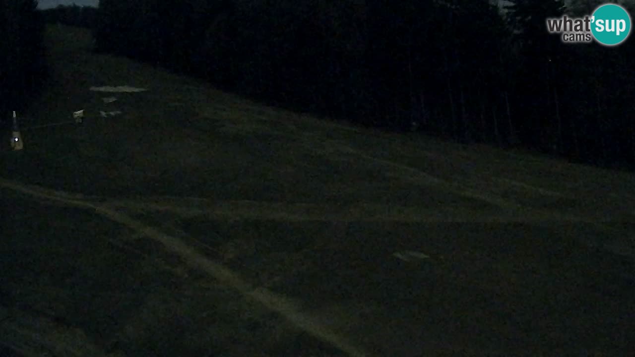 Webcam Pohorje Trikotna Jasa | Poštela