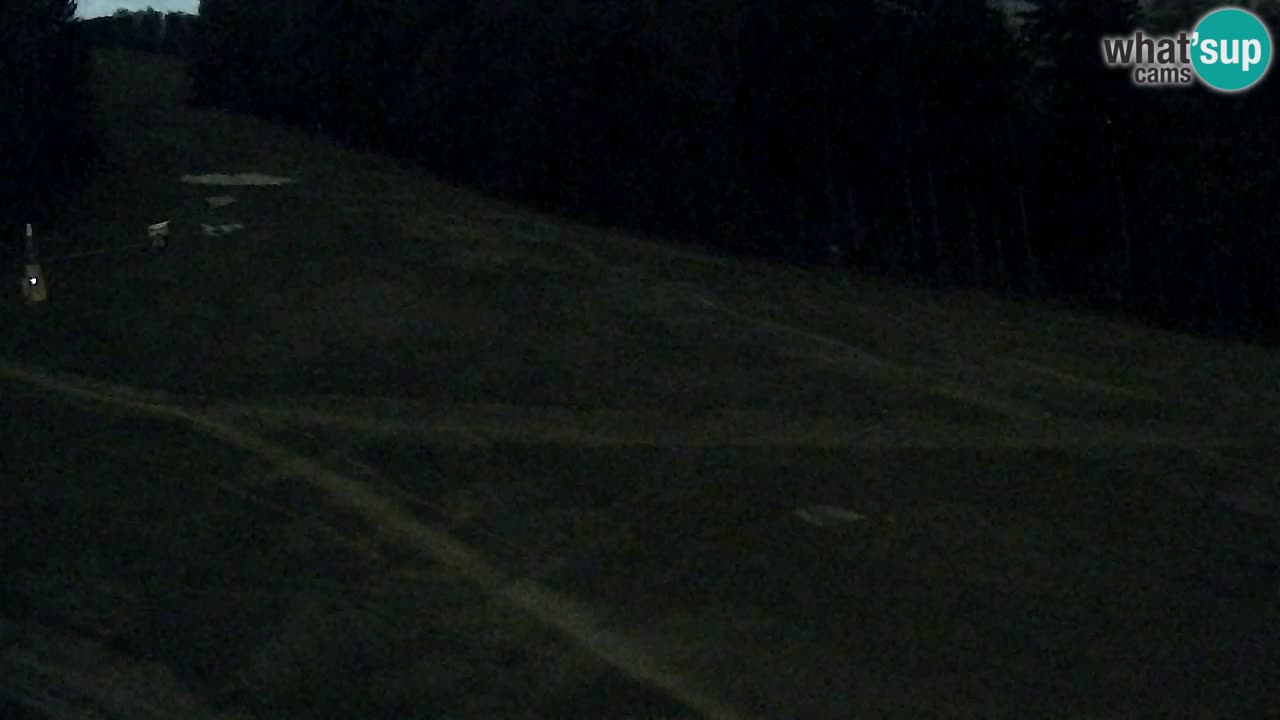 Webcam Pohorje Trikotna Jasa | Poštela