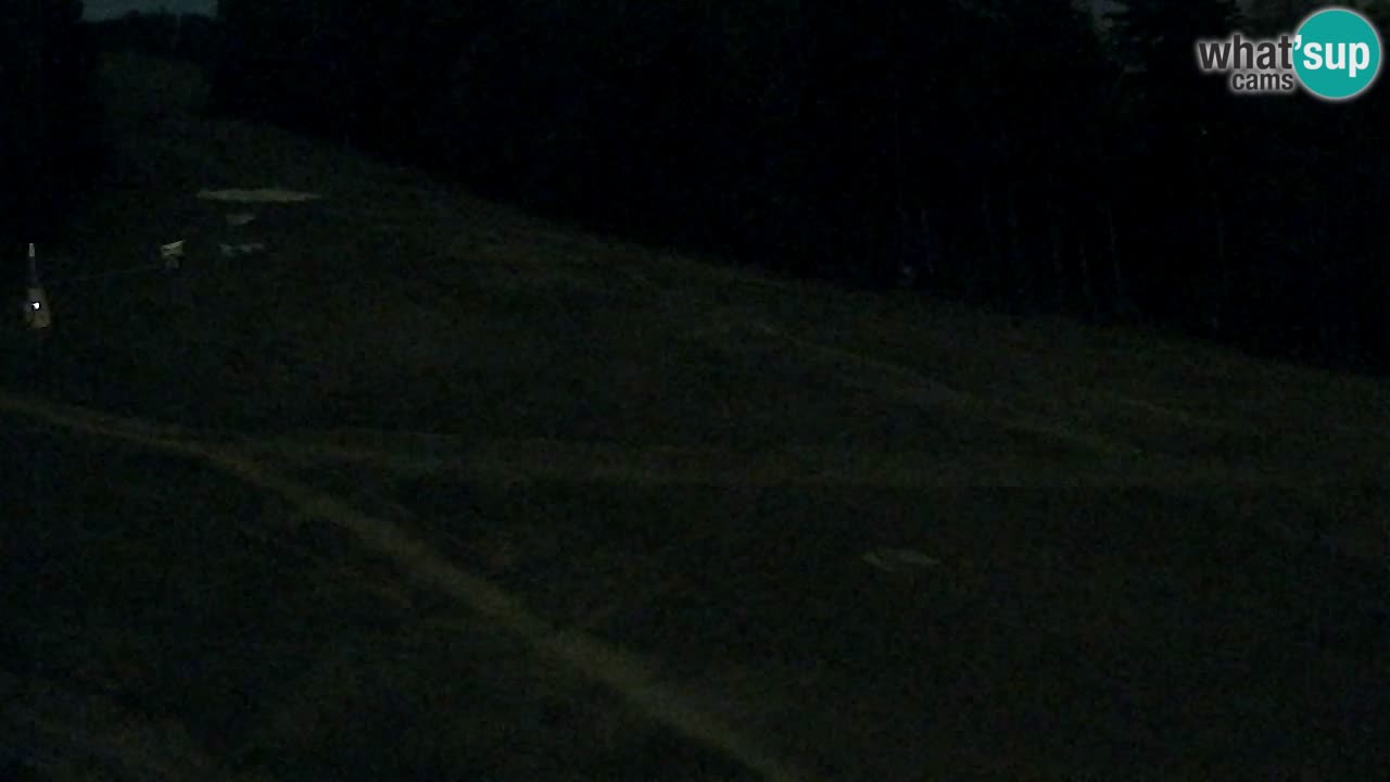 Webcam Pohorje Trikotna Jasa | Poštela