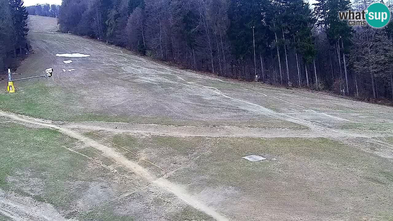 Webcam Pohorje Trikotna Jasa | Poštela