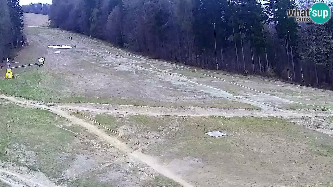 Webcam Pohorje Trikotna Jasa | Poštela
