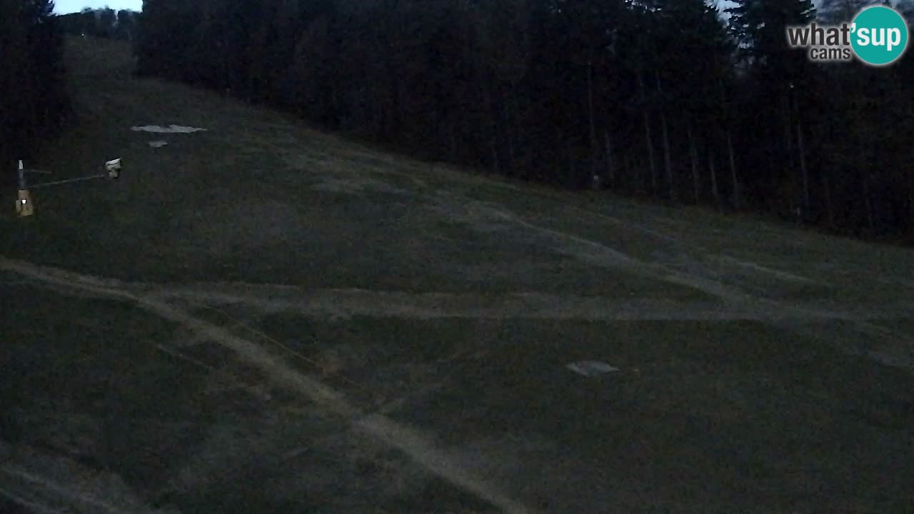 Webcam Pohorje Trikotna Jasa | Poštela