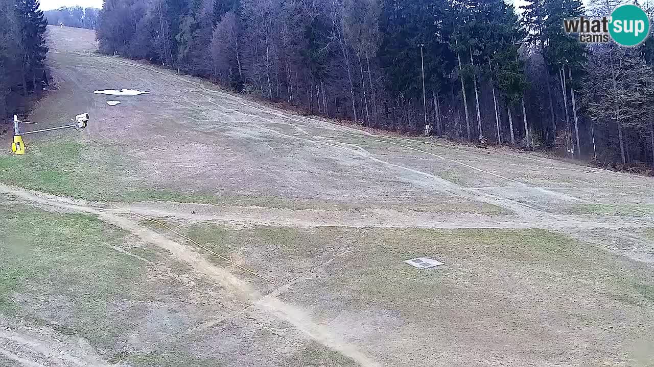 Webcam Pohorje Trikotna Jasa | Poštela