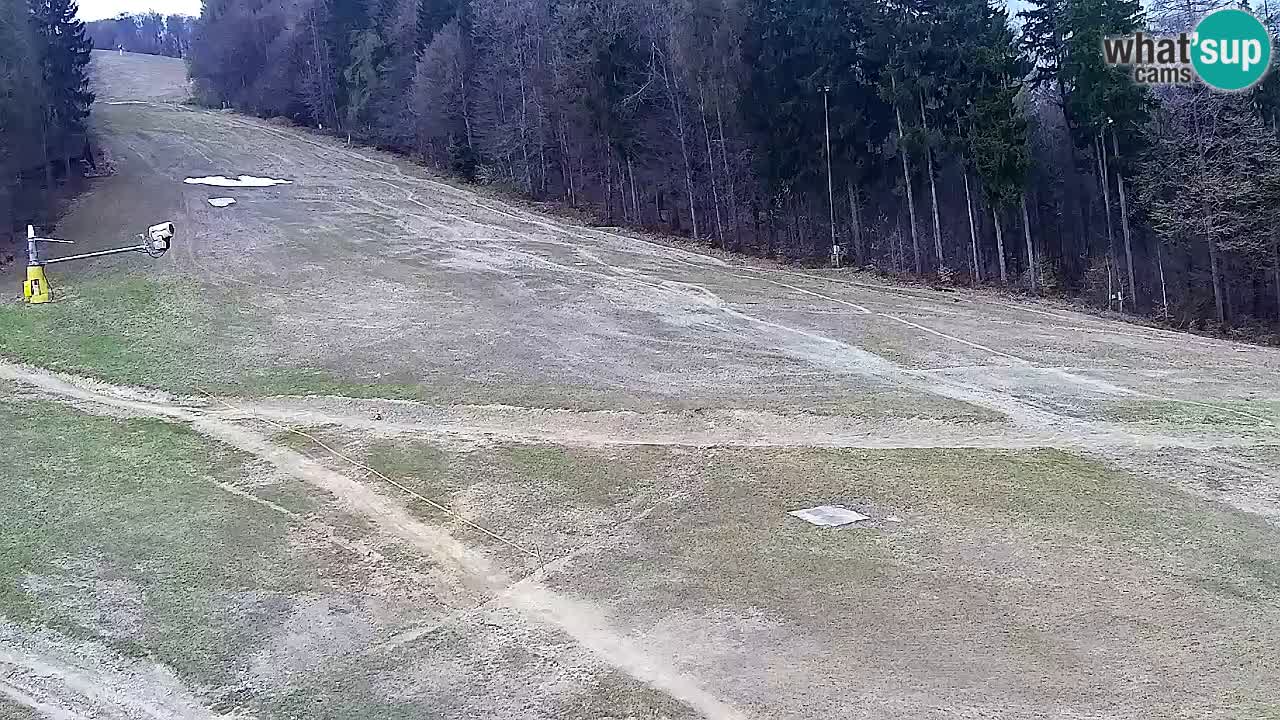 Web Camera Pohorje Trikotna Jasa | Poštela