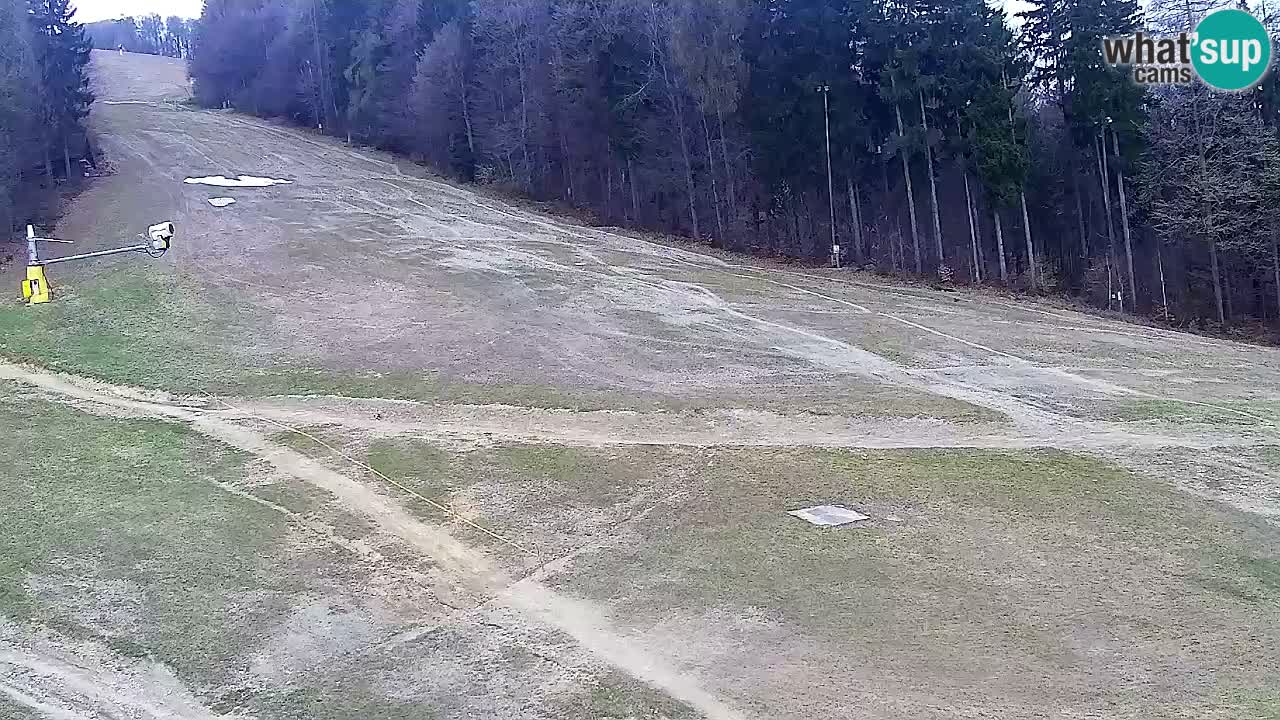 Webcam Pohorje Trikotna Jasa | Poštela