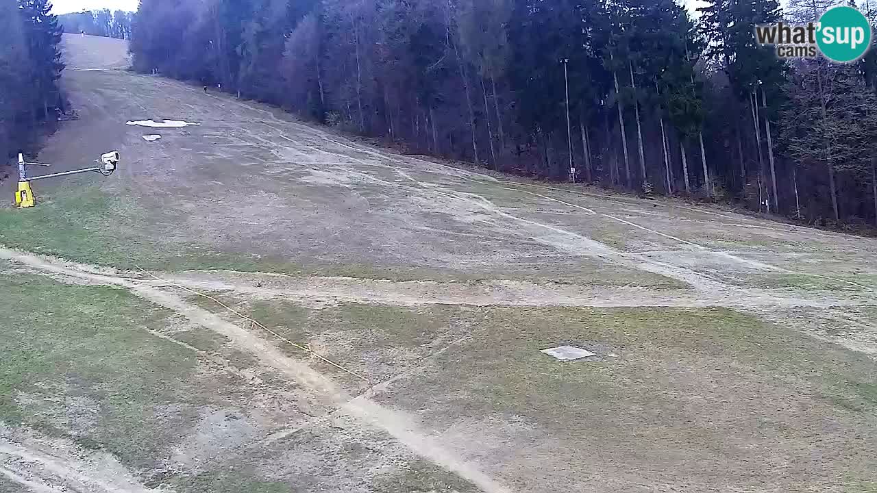 Webcam Pohorje Trikotna Jasa | Poštela