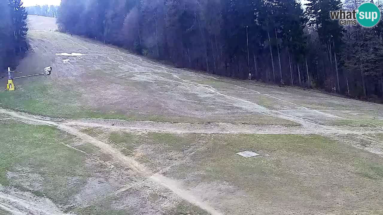 Webcam Pohorje Trikotna Jasa | Poštela