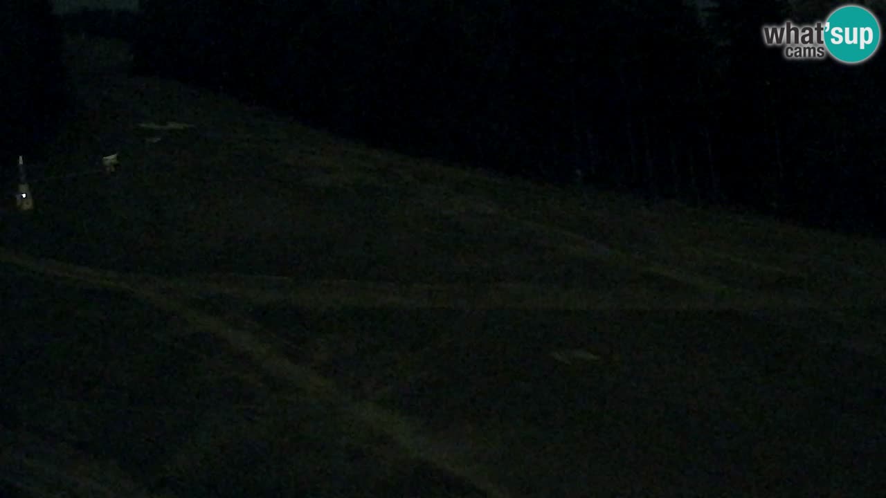 Webcam Pohorje Trikotna Jasa | Poštela