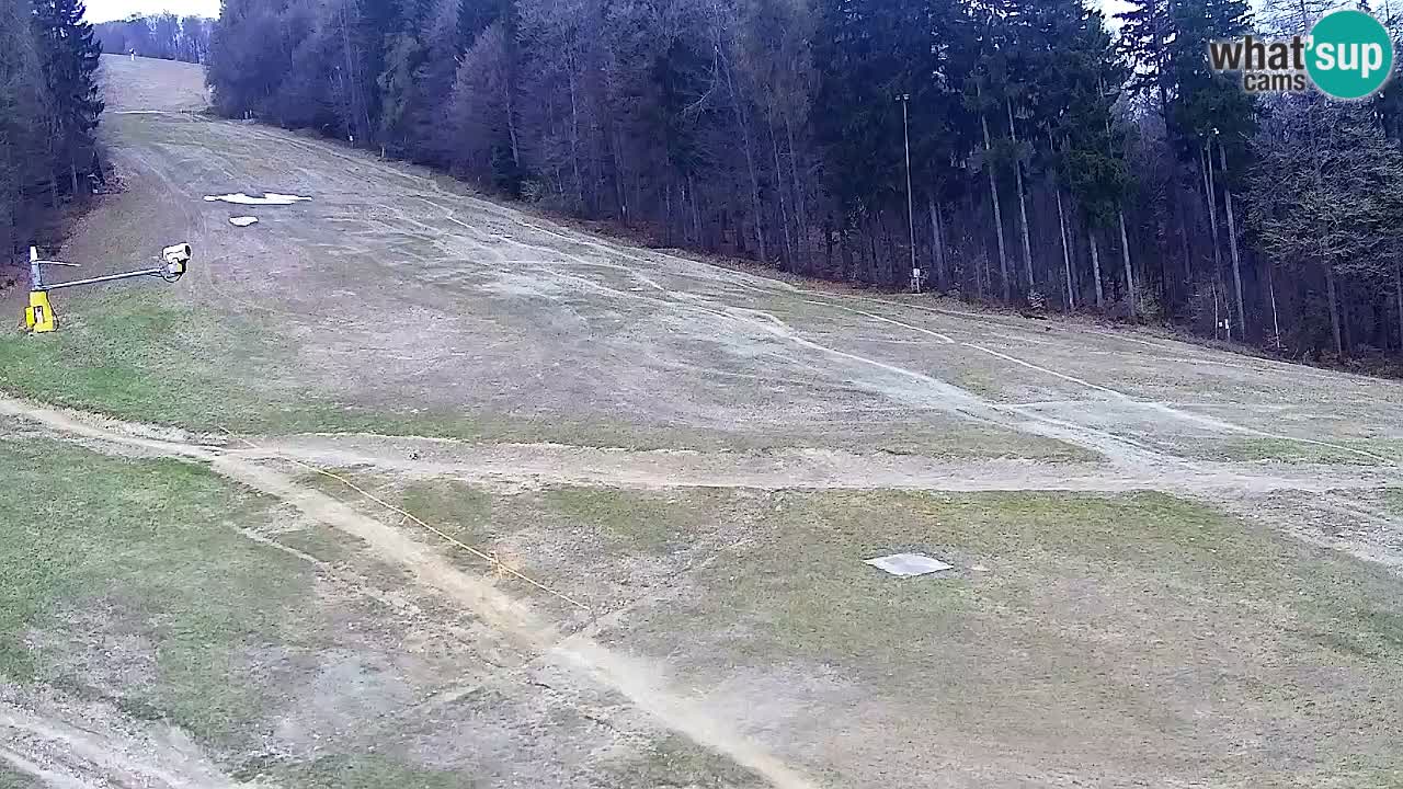 Webcam Pohorje Trikotna Jasa | Poštela