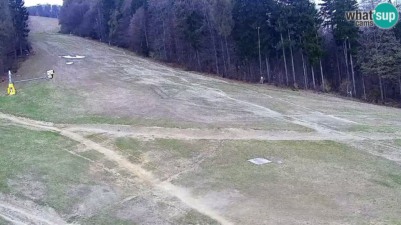 Web Camera Pohorje Trikotna Jasa | Poštela
