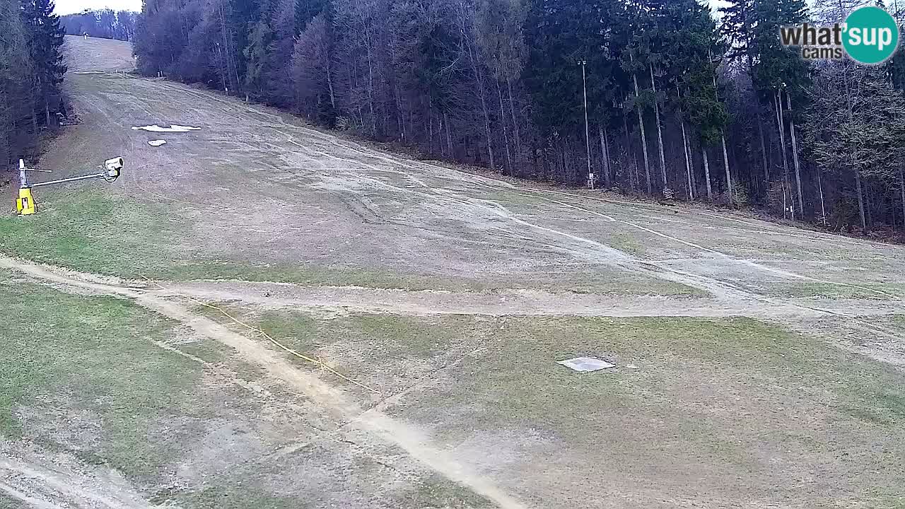 Webcam Pohorje Trikotna Jasa | Poštela
