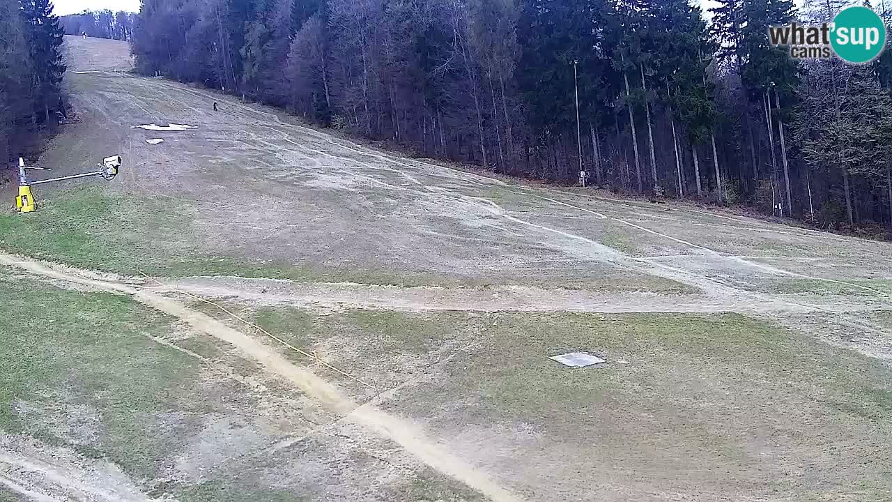 Spletna Kamera Pohorje Trikotna Jasa | Poštela