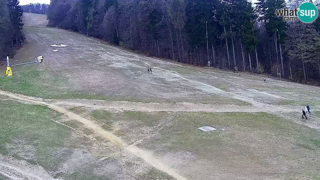 Web Camera Pohorje Trikotna Jasa | Poštela