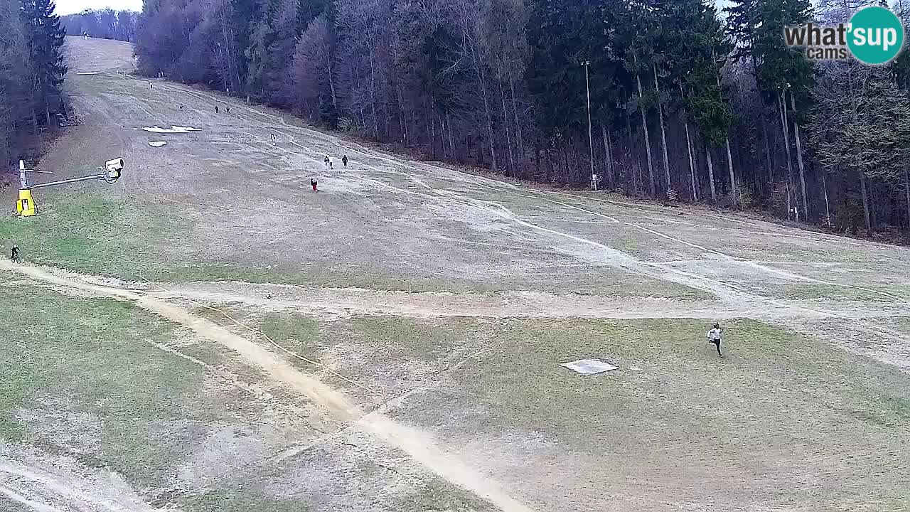 Spletna Kamera Pohorje Trikotna Jasa | Poštela