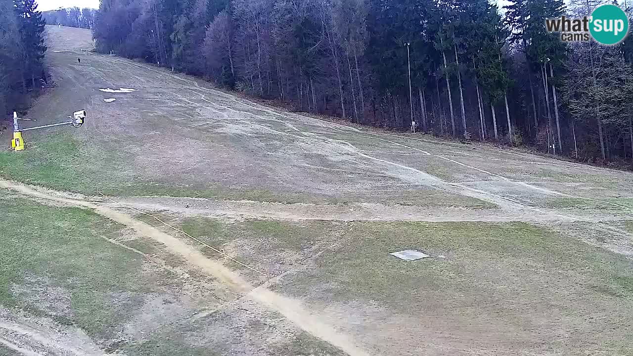 Web Camera Pohorje Trikotna Jasa | Poštela