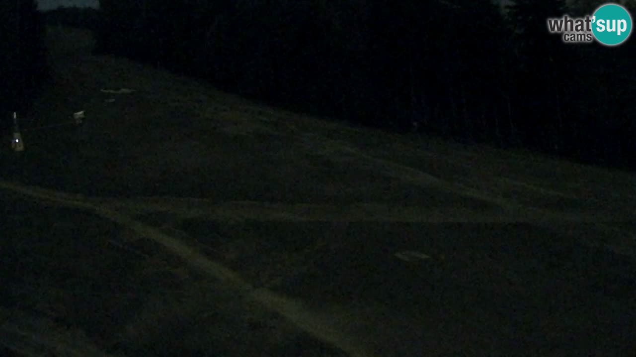 Webcam Pohorje Trikotna Jasa | Poštela