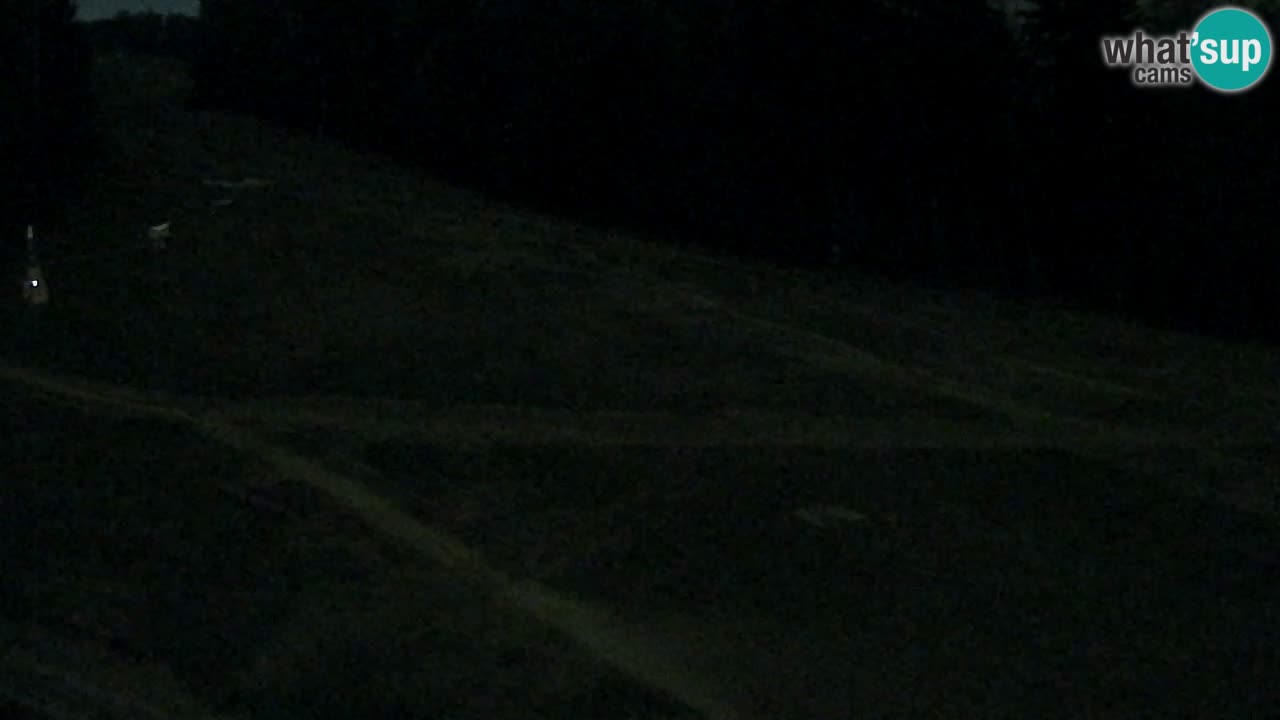 Webcam Pohorje Trikotna Jasa | Poštela