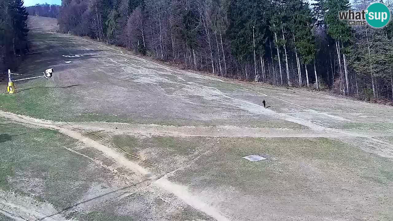 Webcam Pohorje Trikotna Jasa | Poštela