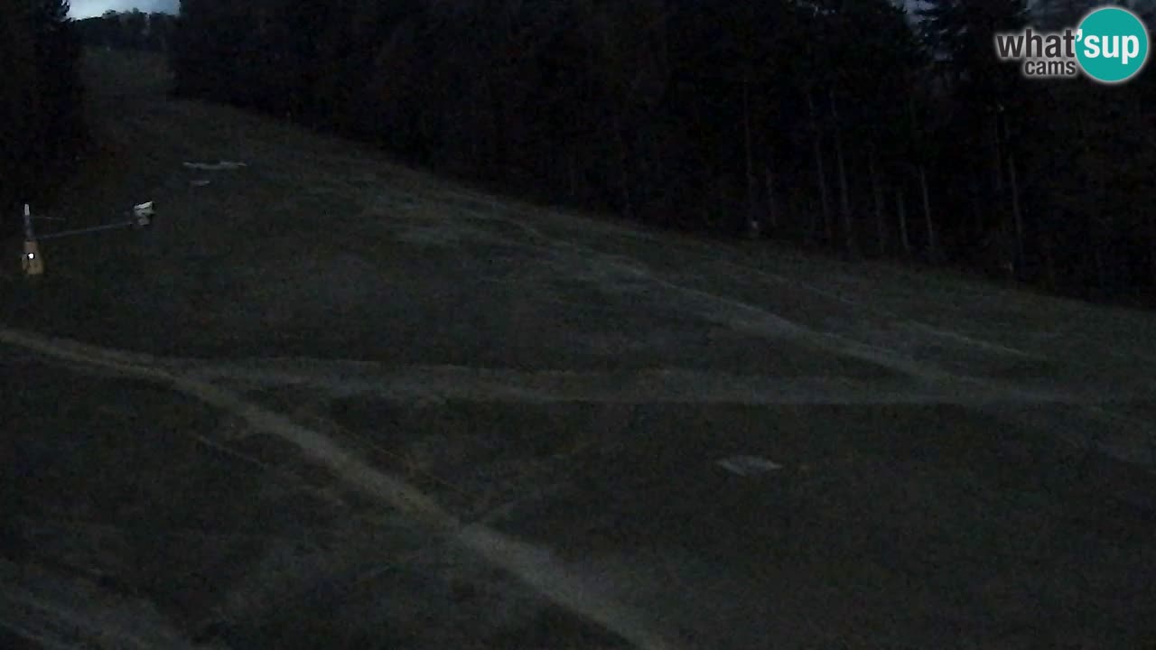 Webcam Pohorje Trikotna Jasa | Poštela