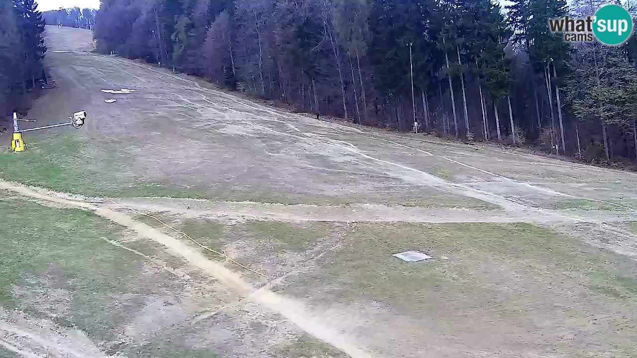 Webcam Pohorje Trikotna Jasa | Poštela