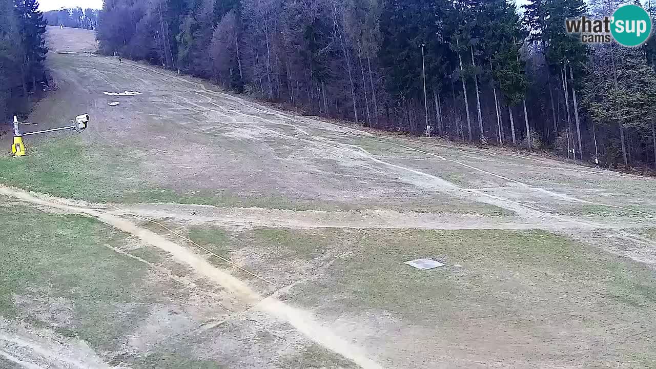 Web Camera Pohorje Trikotna Jasa | Poštela