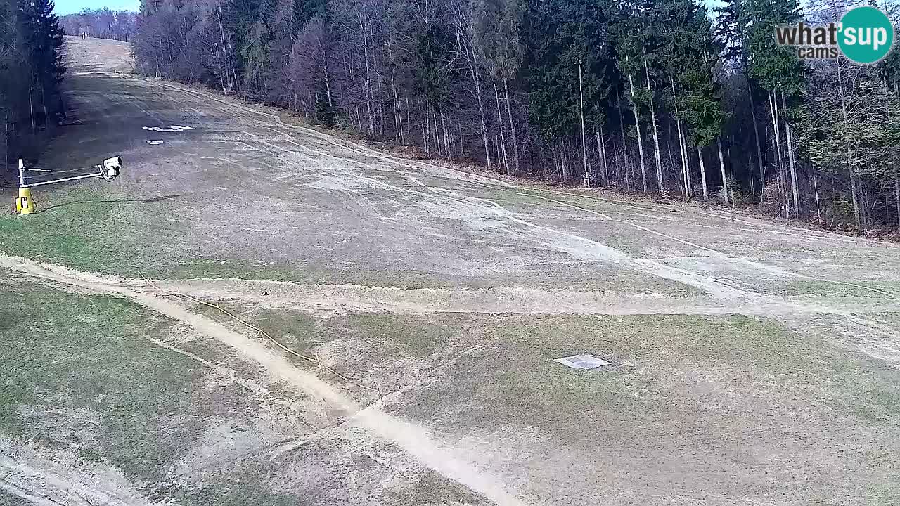 Webcam Pohorje Trikotna Jasa | Poštela