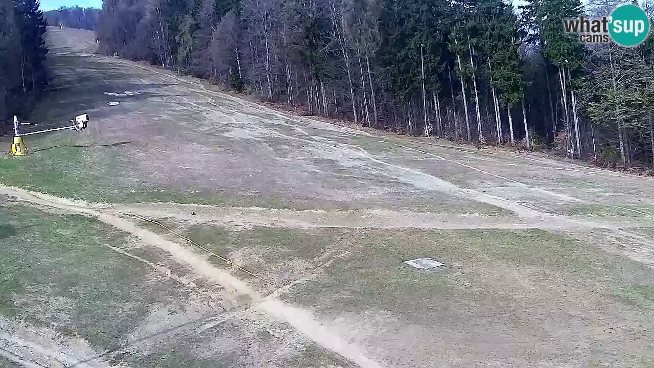 Web Camera Pohorje Trikotna Jasa | Poštela