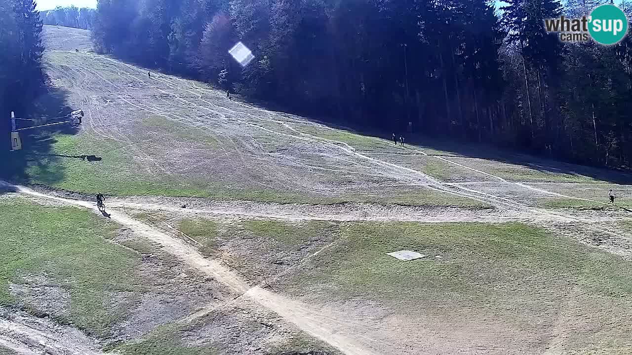 Webcam Pohorje Trikotna Jasa | Poštela