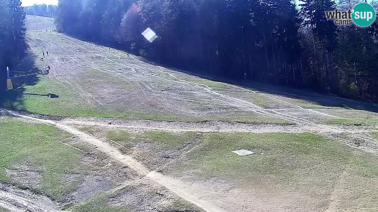 Spletna Kamera Pohorje Trikotna Jasa | Poštela