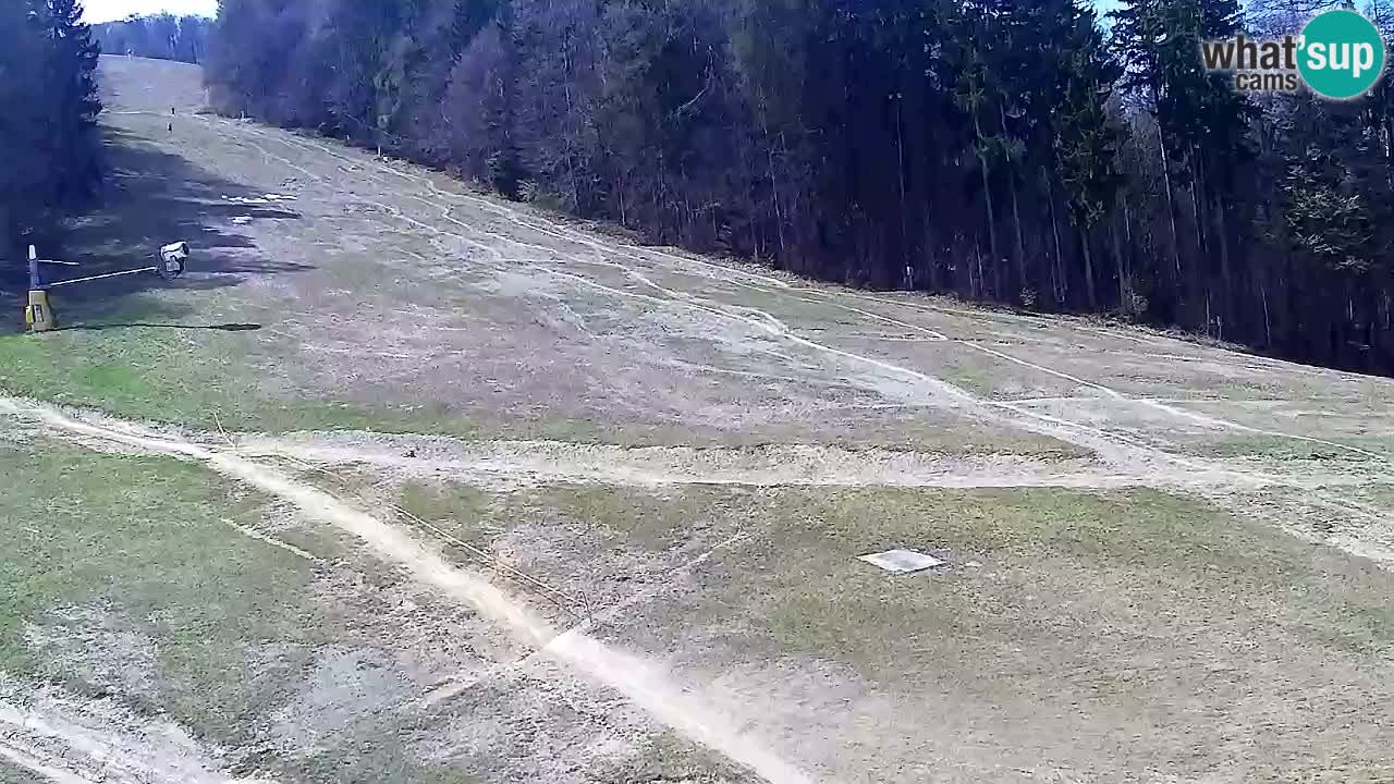 Webcam Pohorje Trikotna Jasa | Poštela