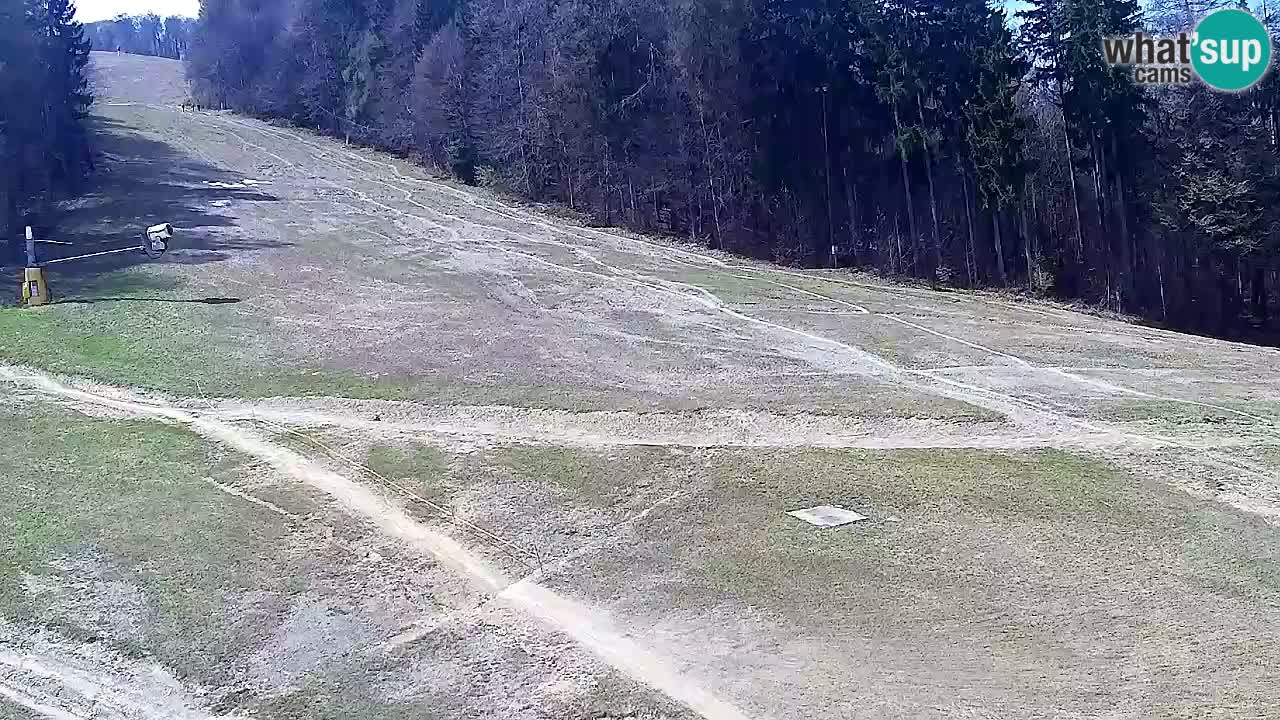 Webcam Pohorje Trikotna Jasa | Poštela