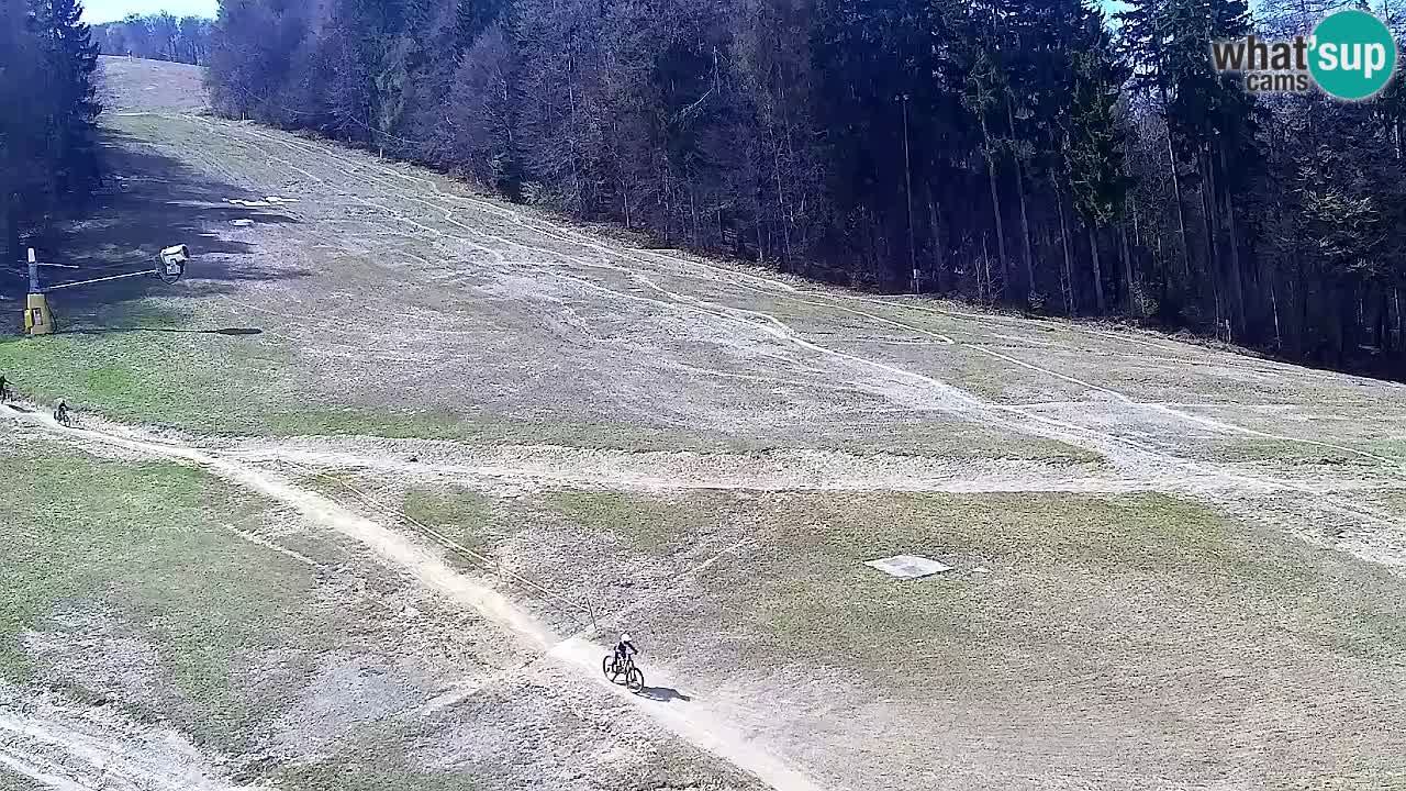 Webcam Pohorje Trikotna Jasa | Poštela
