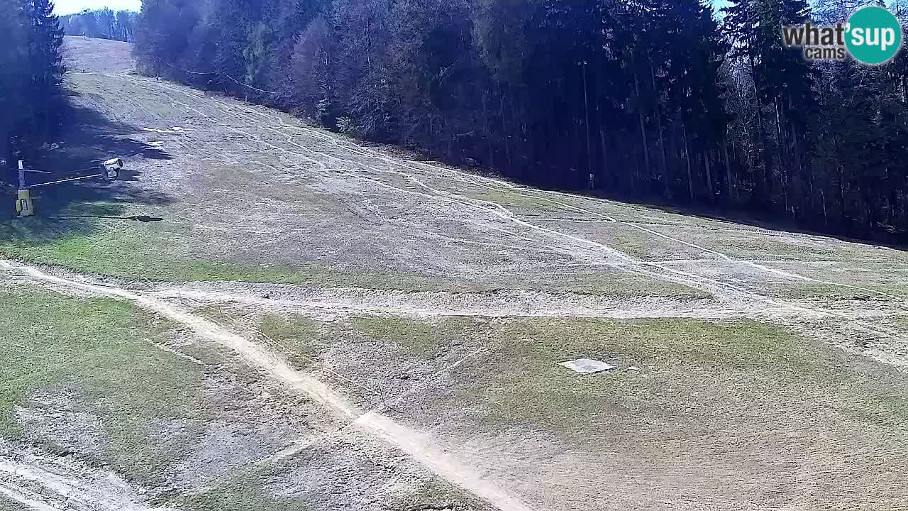 Spletna Kamera Pohorje Trikotna Jasa | Poštela