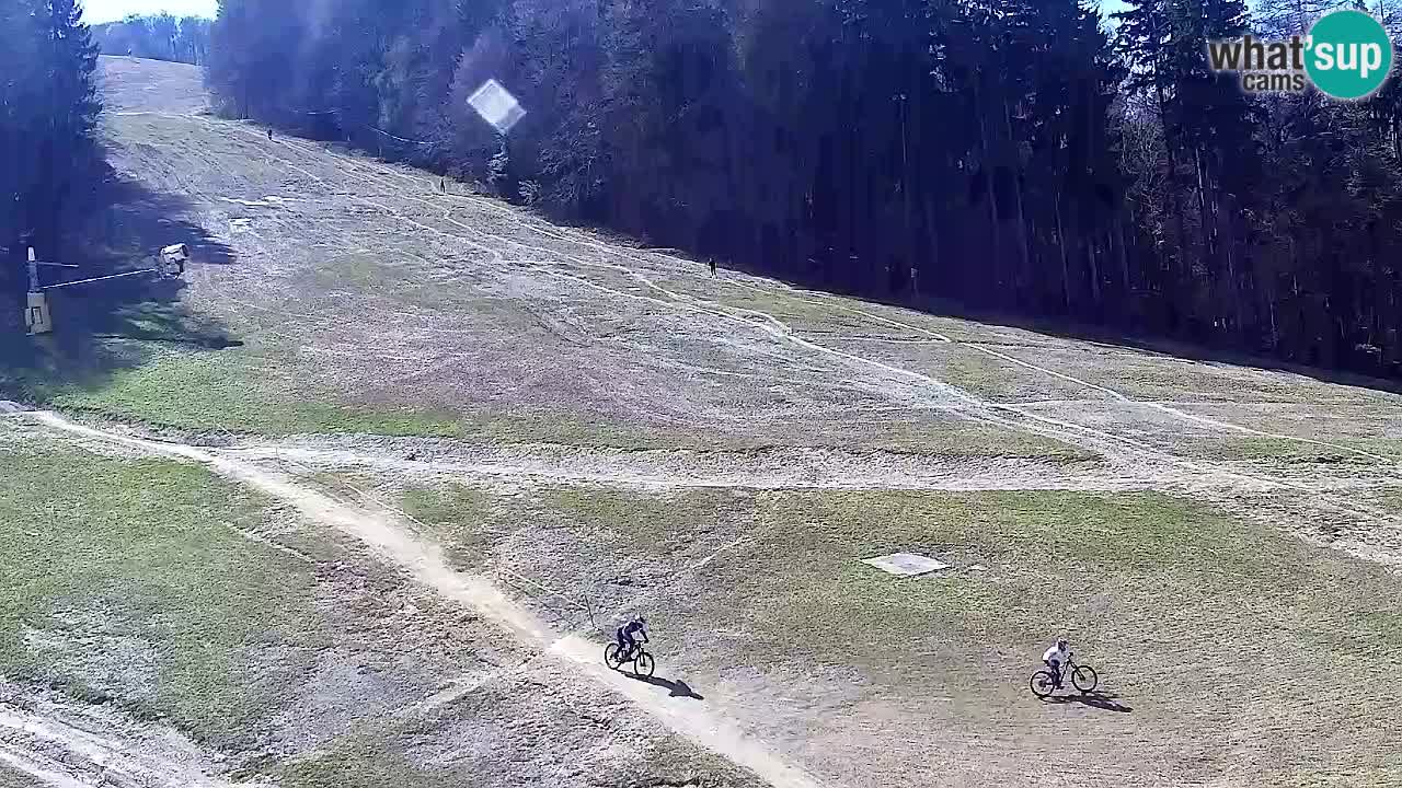 Spletna Kamera Pohorje Trikotna Jasa | Poštela