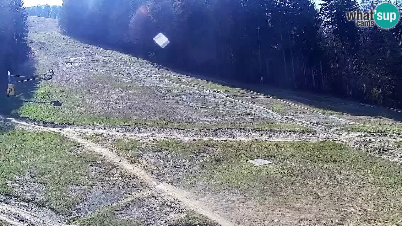 Webcam Pohorje Trikotna Jasa | Poštela