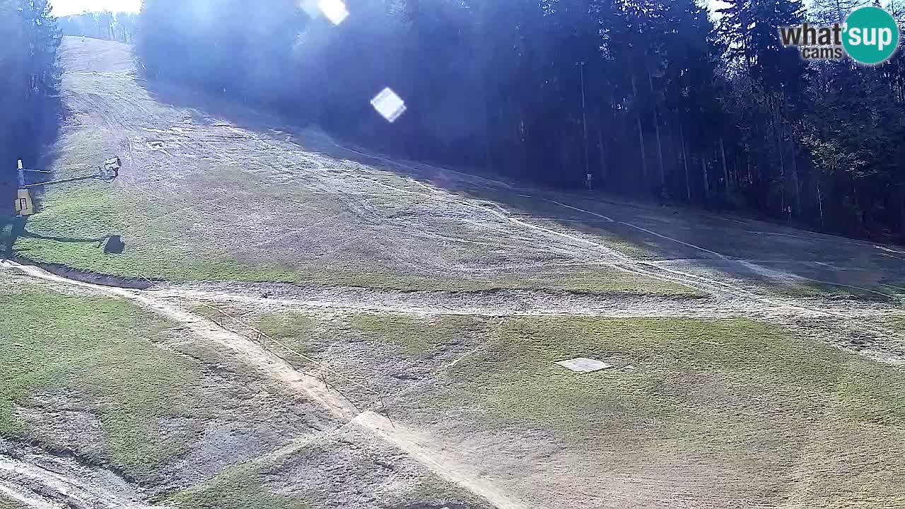 Spletna Kamera Pohorje Trikotna Jasa | Poštela