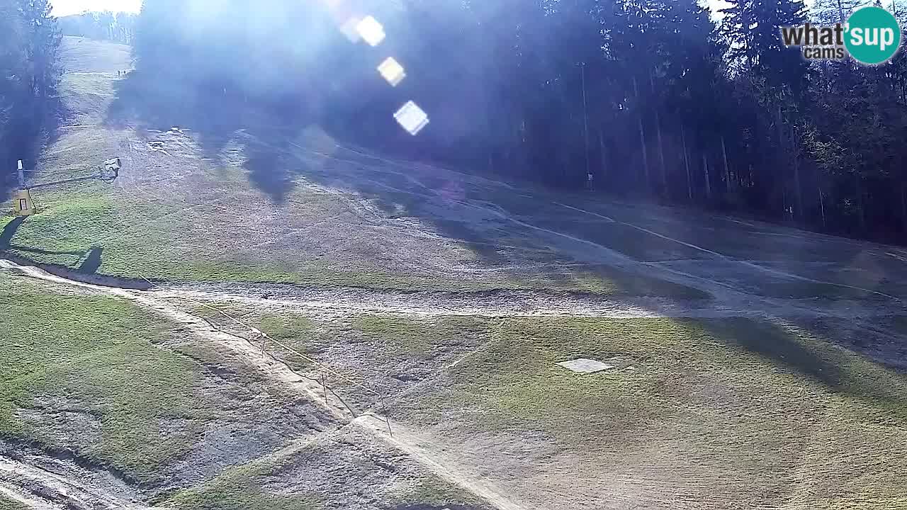 Webcam Pohorje Trikotna Jasa | Poštela