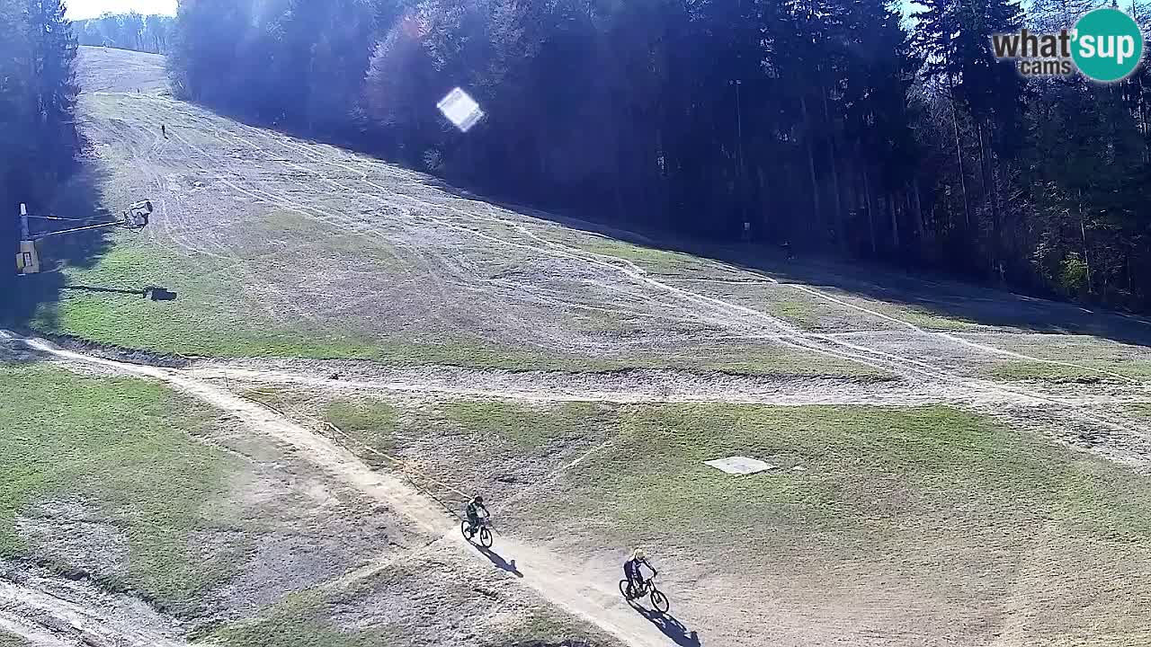 Webcam Pohorje Trikotna Jasa | Poštela