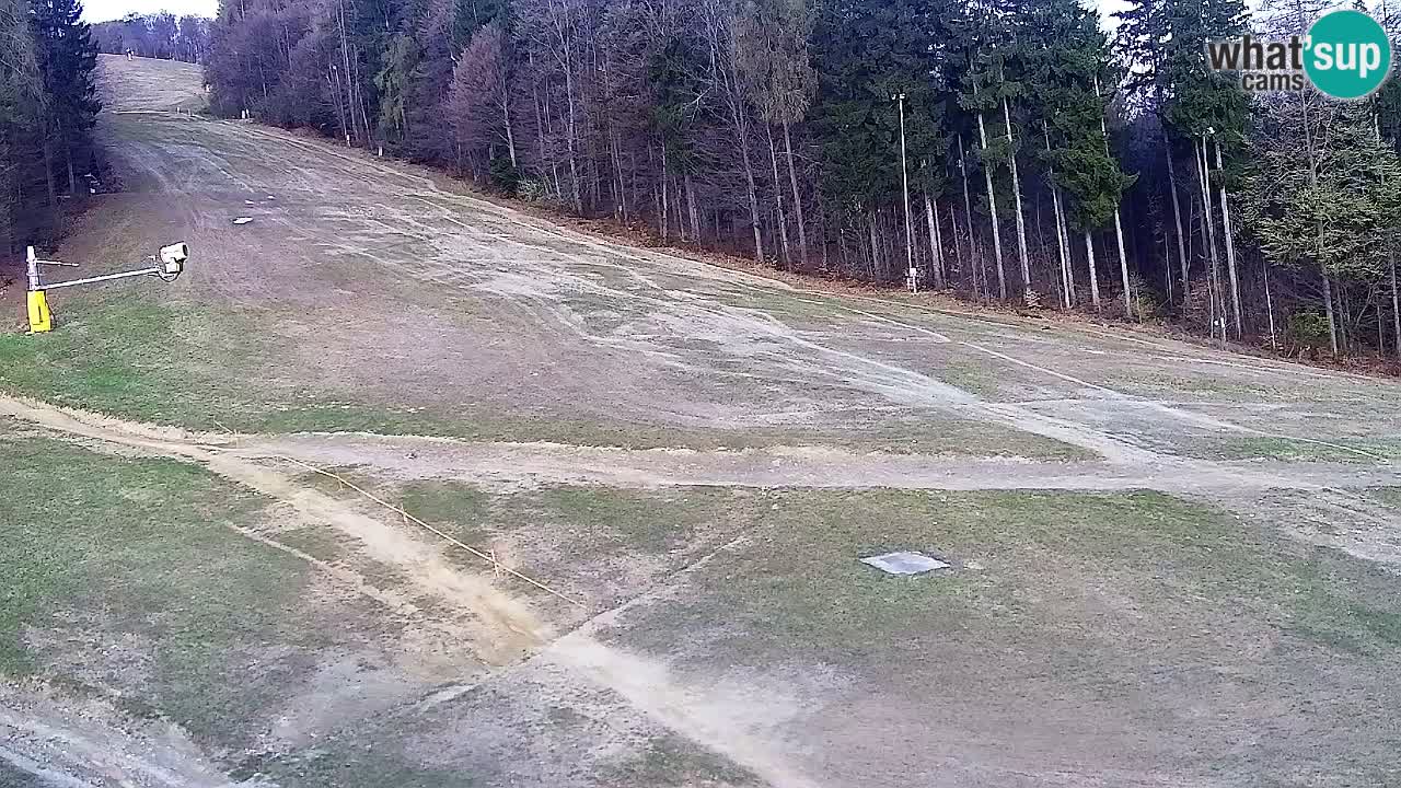 Webcam Pohorje Trikotna Jasa | Poštela