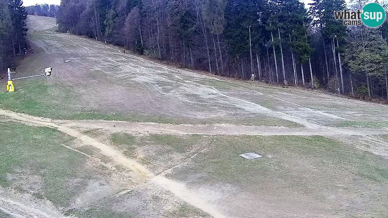 Webcam Pohorje Trikotna Jasa | Poštela