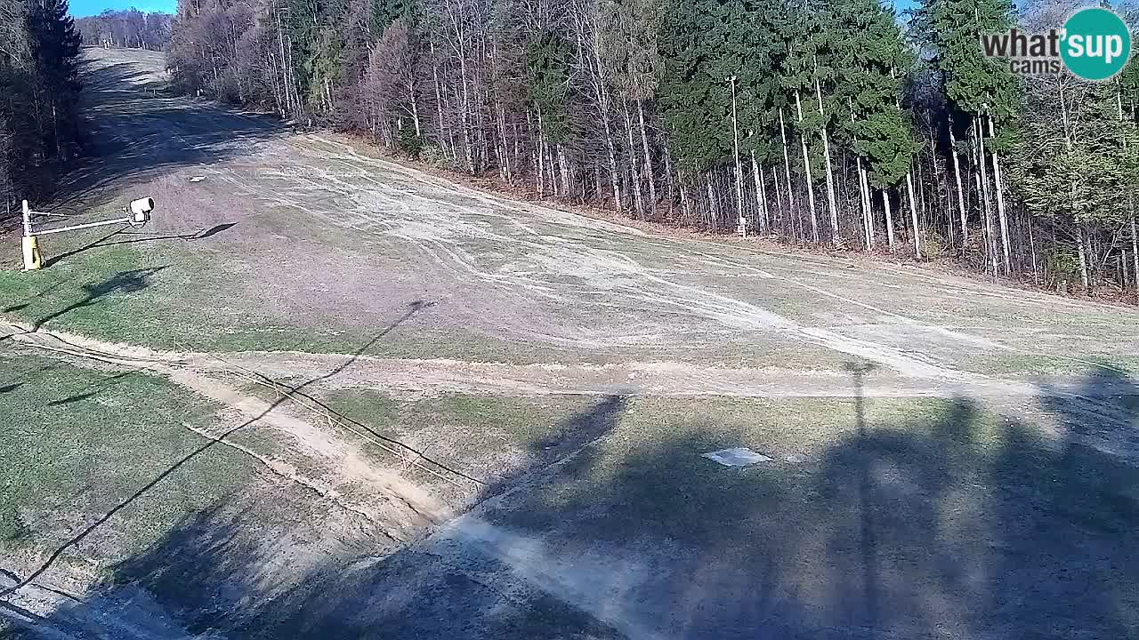 Webcam Pohorje Trikotna Jasa | Poštela