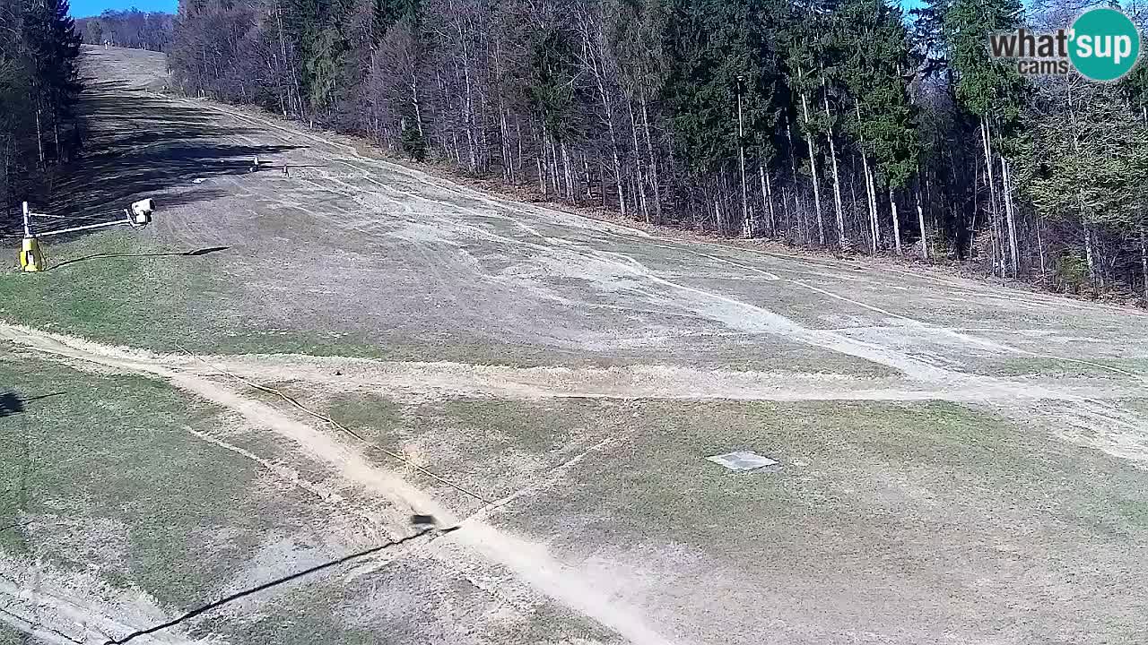 Web Camera Pohorje Trikotna Jasa | Poštela