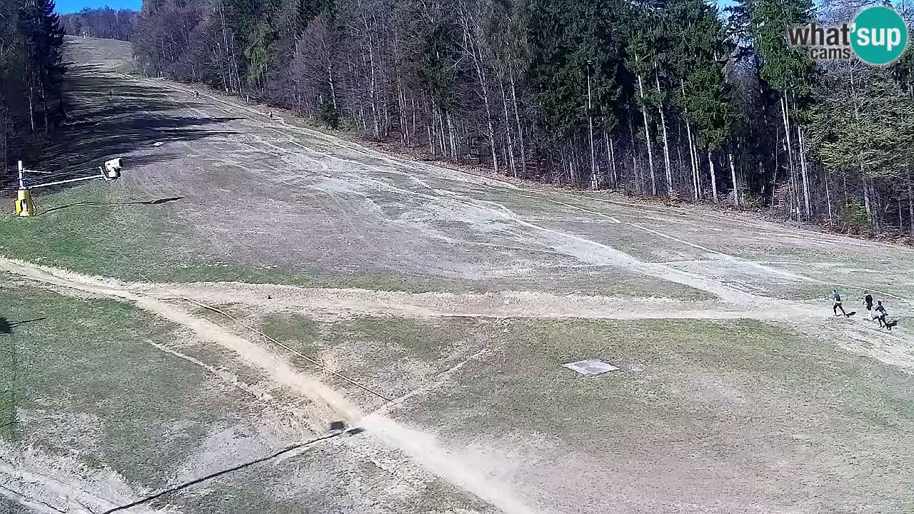 Spletna Kamera Pohorje Trikotna Jasa | Poštela