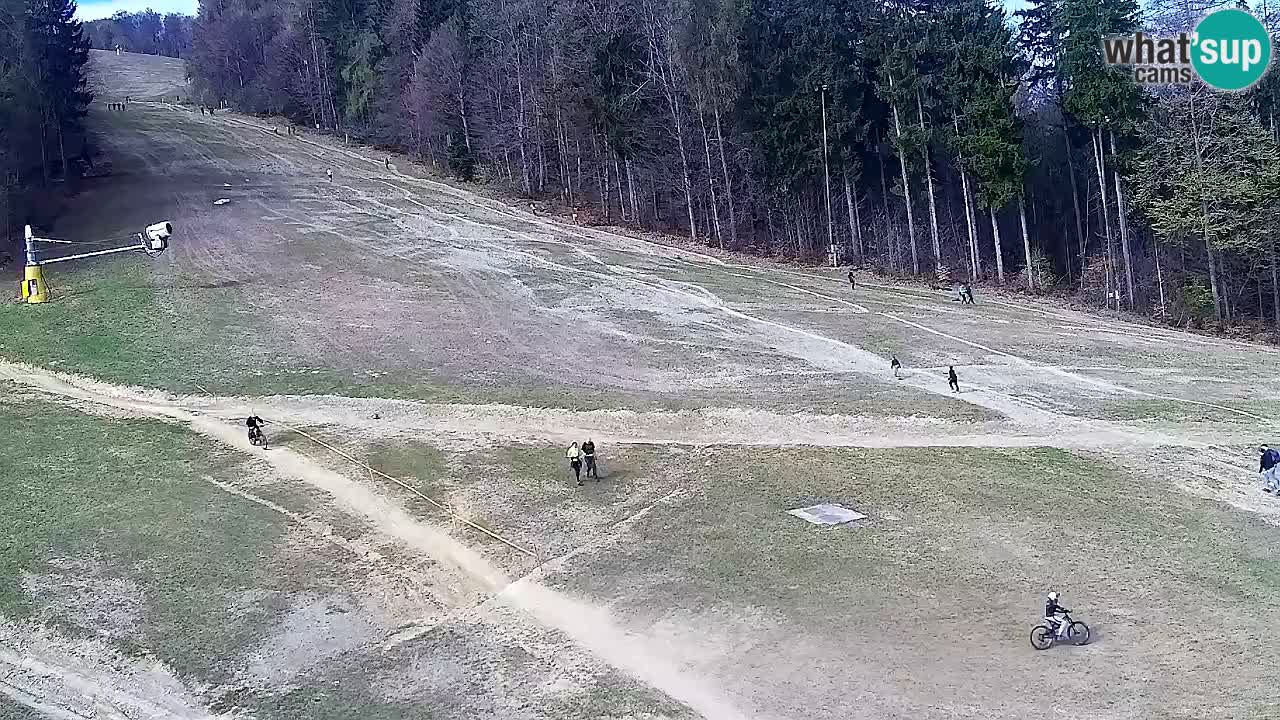 Spletna Kamera Pohorje Trikotna Jasa | Poštela
