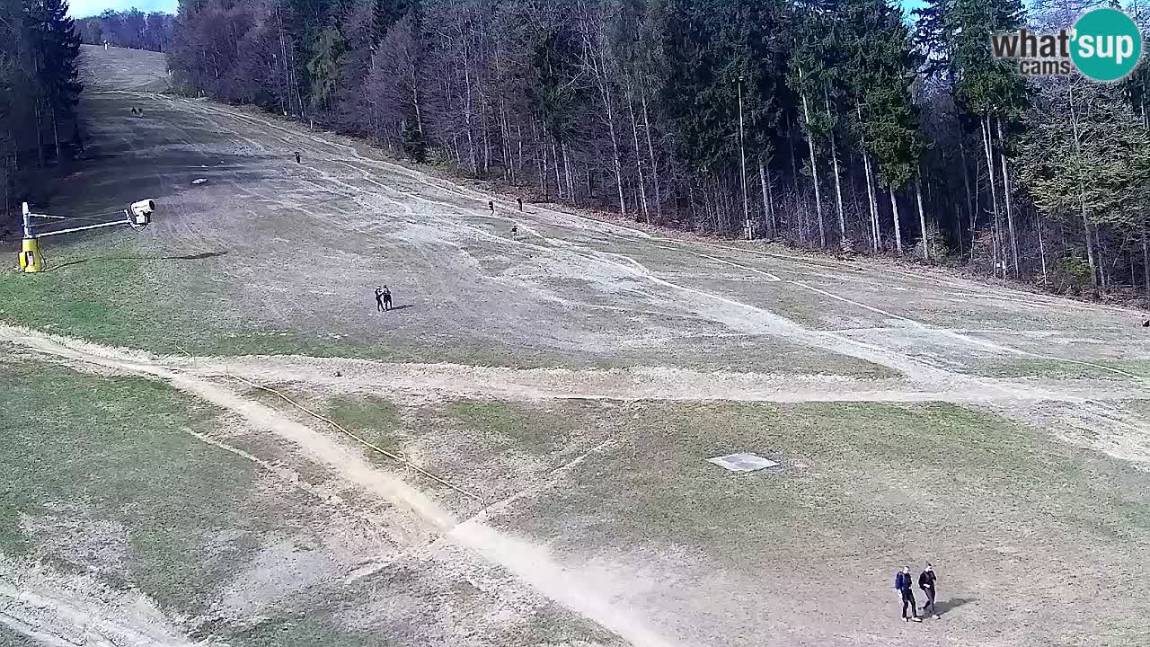 Webcam Pohorje Trikotna Jasa | Poštela