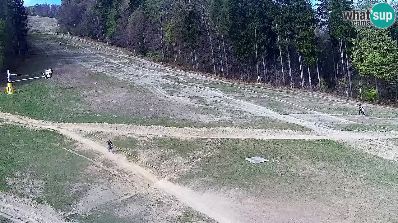 Web Camera Pohorje Trikotna Jasa | Poštela