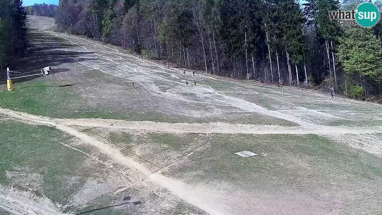 Web kamera Pohorje Trikotna Jasa | Poštela