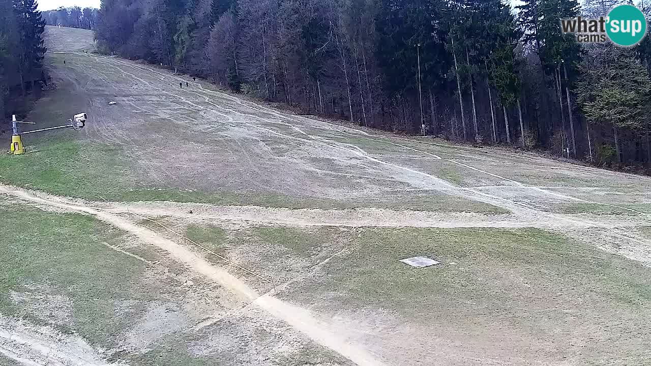 Spletna Kamera Pohorje Trikotna Jasa | Poštela