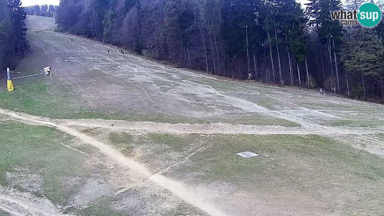 Webcam Pohorje Trikotna Jasa | Poštela